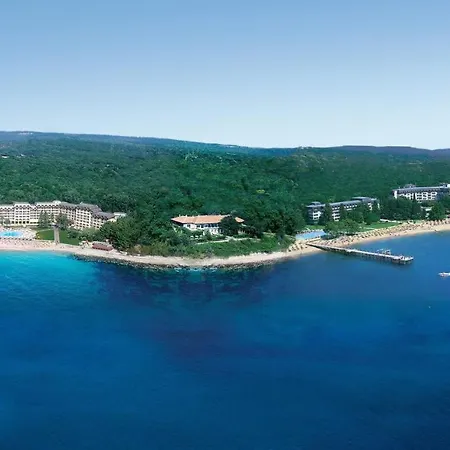 Rosa Rogosa * Golden Sands