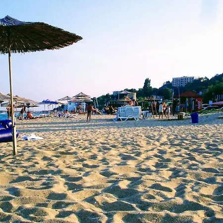 Rosa Rogosa * Golden Sands