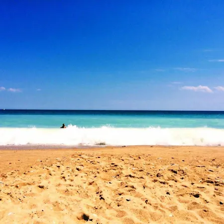 Rosa Rogosa Sables d'or